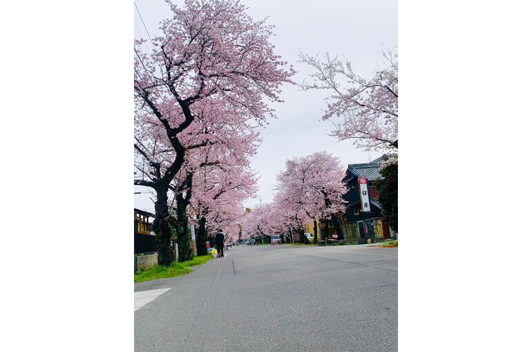 LINE_ALBUM_230329